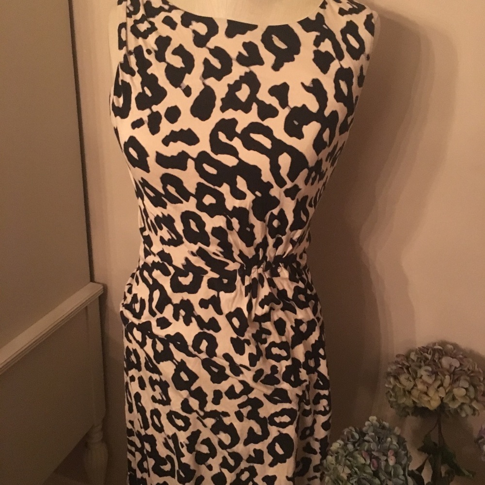 Ann Taylor Loft Dress